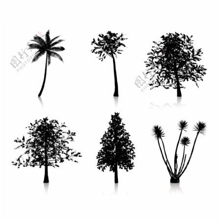 六种不同的树的剪影集