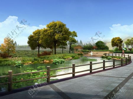 荷塘水域园林景观效果图