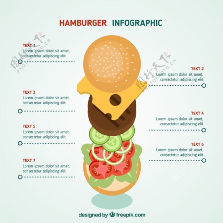 汉堡的信息图表