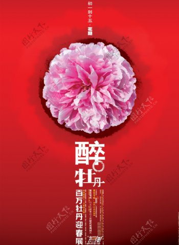 时代玫瑰园海报牡丹节