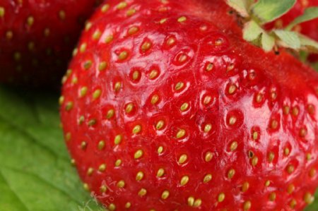 草莓新鲜背景图片