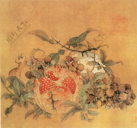 橘子葡萄石榴图花鸟画中国古画0084
