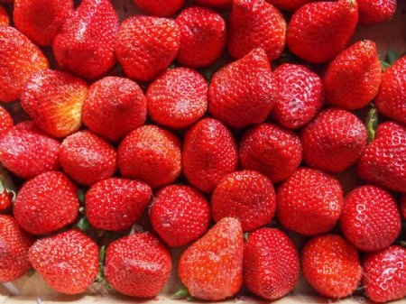 美味的草莓摄影