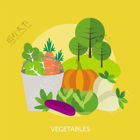 蔬菜背景设计