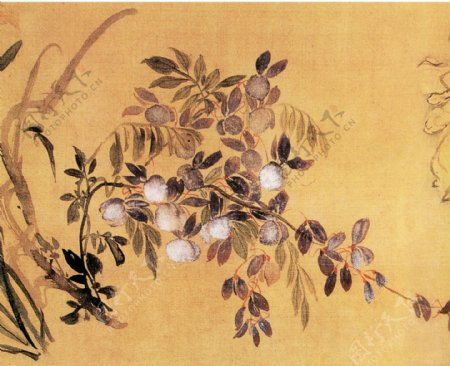 花卉图a花鸟画中国古画0471