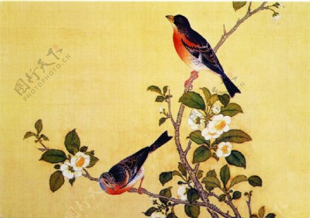 花鸟画中国古画传统国画17