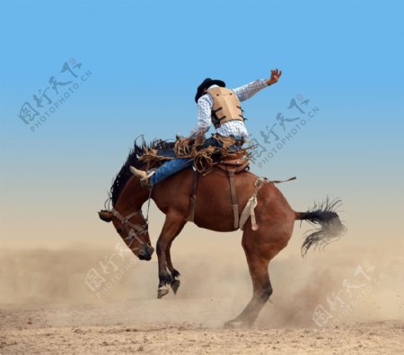 骑马的牛仔摄影图片