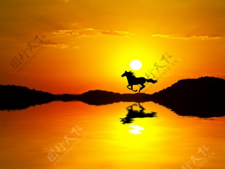 奔跑的骏马与夕阳