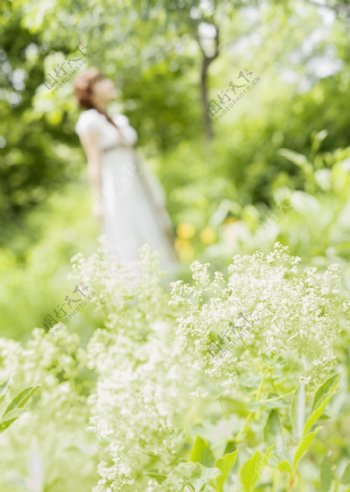 花丛中的新娘图片图片