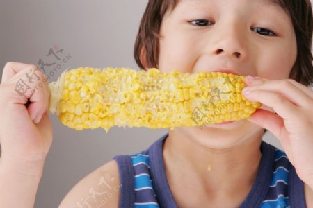 吃玉米的儿童图片