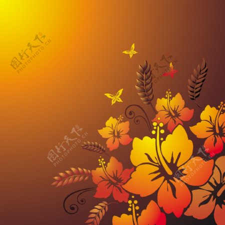 花卉花纹装饰背景