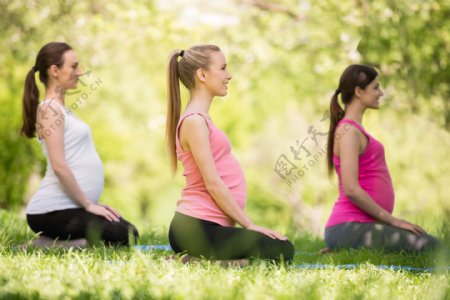 练瑜伽的孕妇图片