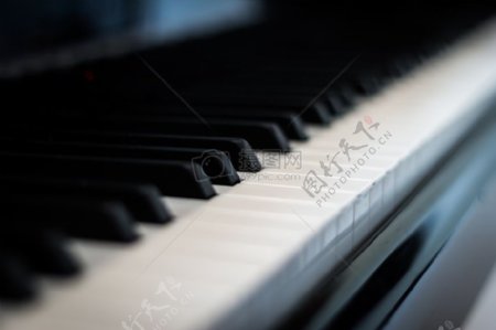 唯美的钢琴键盘