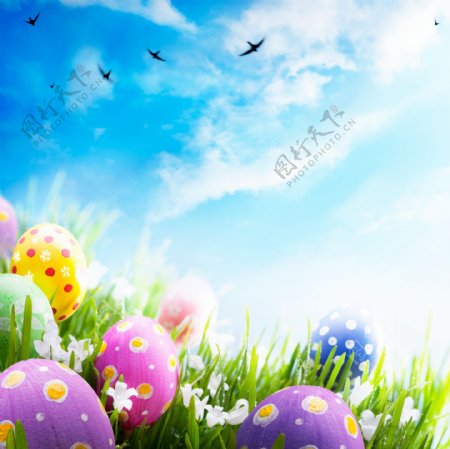 蓝天草地上的彩蛋图片