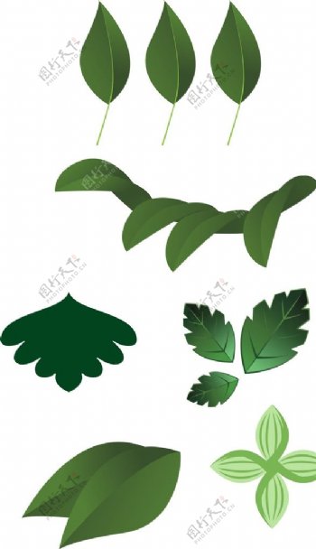 绿色树叶素材