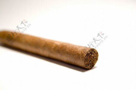 一枝雪茄图片