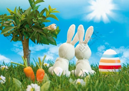 复活节草地彩蛋兔子图片