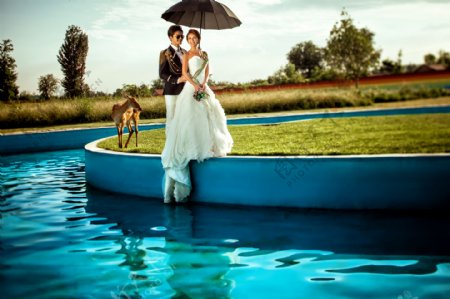 撑伞的婚纱情侣图片