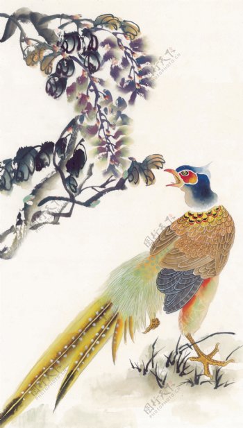 花鸟中国画11