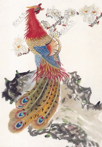 花鸟中国画40