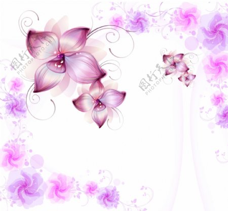 紫色花卉背景墙
