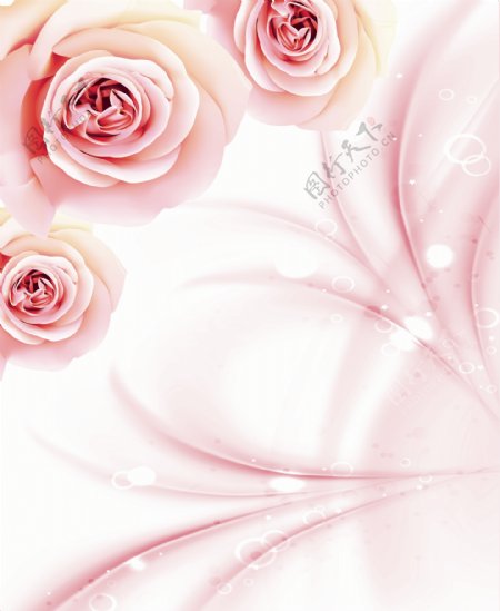 粉色花卉背景墙