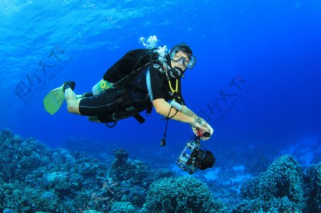 拍摄珊瑚的潜水员