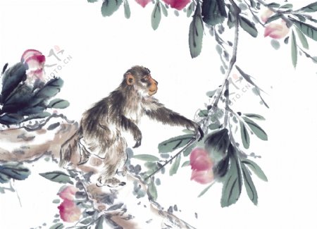 猴写意动物画国画0039