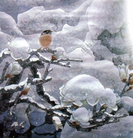 冬天树木上的小鸟图片