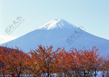 富士山富士山图片