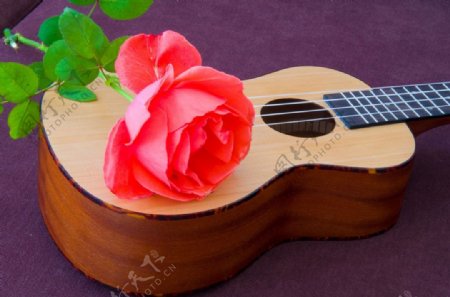 红色玫瑰花和吉他图片