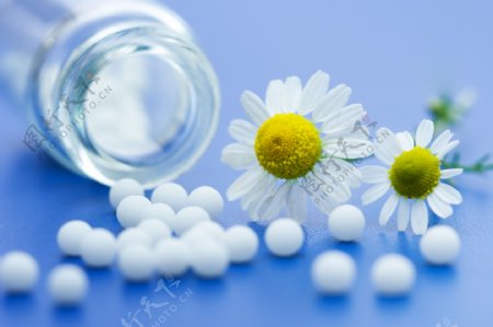 白色药丸和菊花