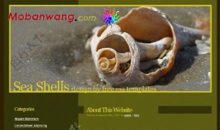 贝壳主题BLOG网页模板