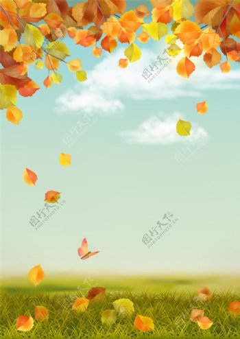 蝴蝶和落叶图片