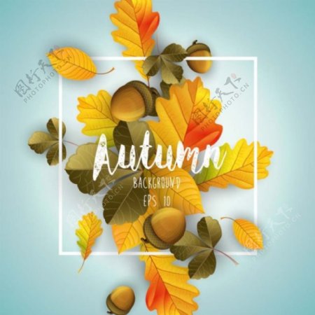 秋天落叶海报设计素材图片