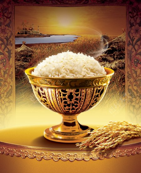 金碗米饭