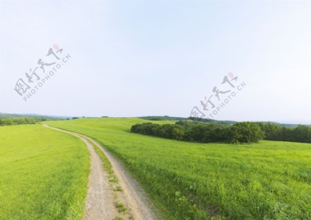 草原与公路高清图片
