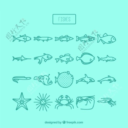 海洋生物矢量图片