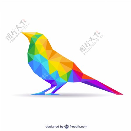 彩色抽象鸟图片