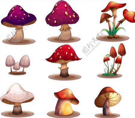 彩色卡通蘑菇设计