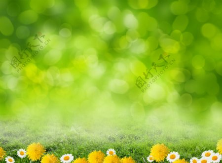 绿色主题春天背景高清图片