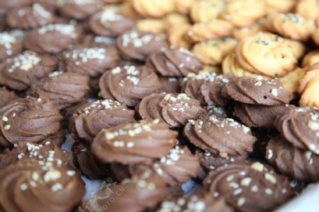 曲奇巧克力饼干图片