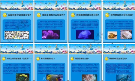 幼儿园海底世界动物介绍
