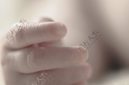 宝宝的手指图片