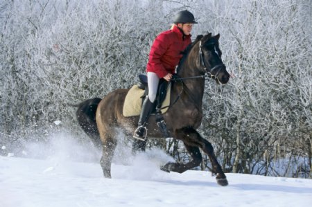 雪地里骑马奔跑的女孩图片