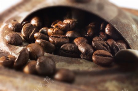 机器中的咖啡豆图片