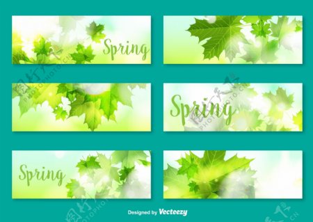 矢量横幅卡与装饰叶的春天季节