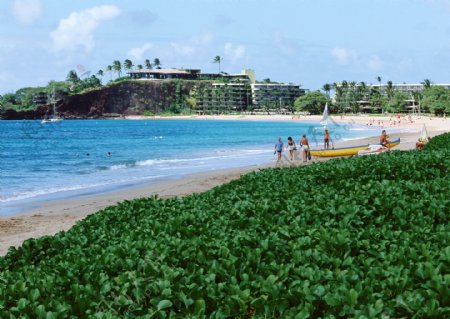 美丽夏威夷沙滩美景