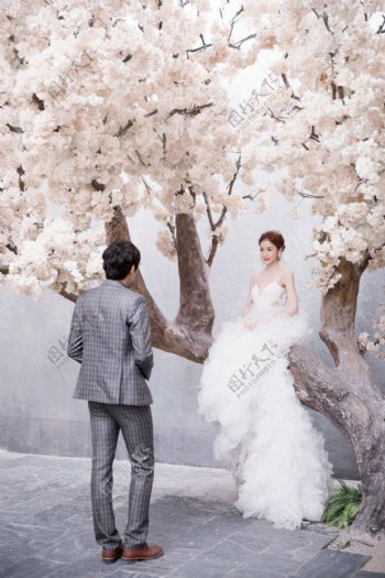 韩式欧式中式婚纱照图片