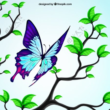 唯美蝴蝶绿植装饰图案
